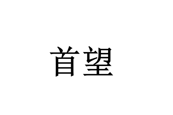 首望(影音品牌) 首望(影音品牌)