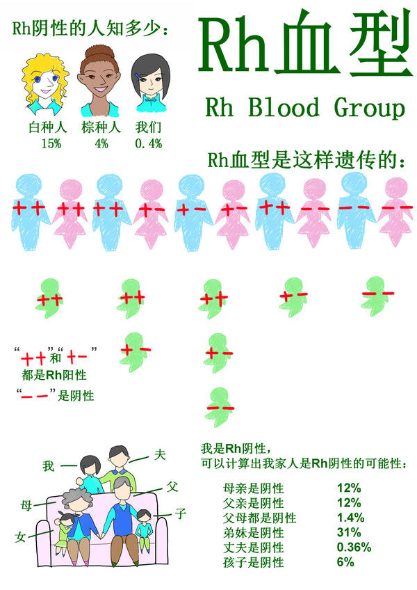 Rh血型小知識