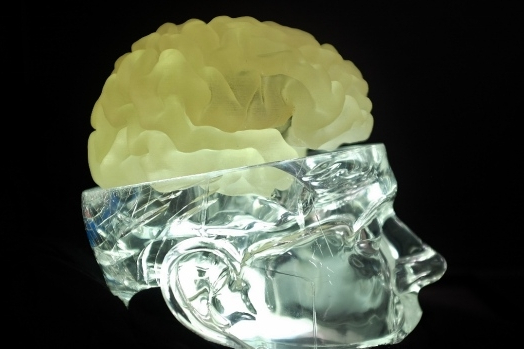3D列印人腦 3D列印人腦