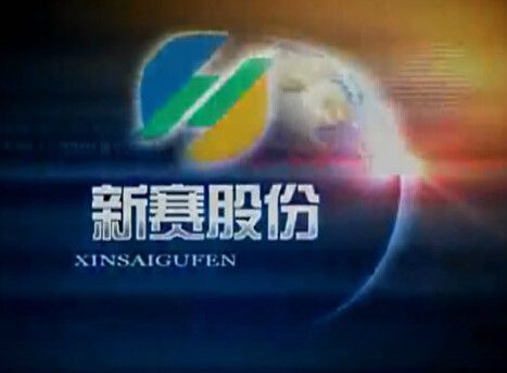 新賽股份 新賽股份