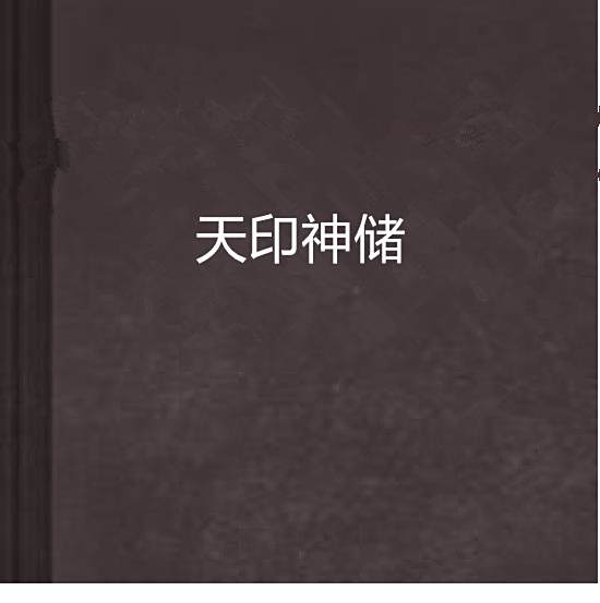 天印神儲 天印神儲