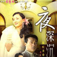 夜深沉(陶虹主演電視劇) 夜深沉(陶虹主演電視劇)