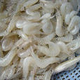 白米蝦