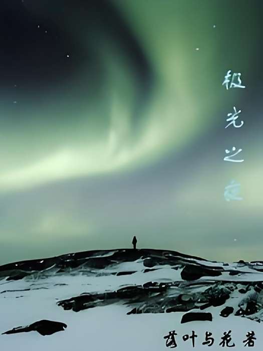 極光之夜 極光之夜