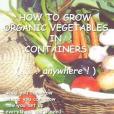 How to Grow Organic Vegetables in Containers(Logan, Eileen著圖書) How to Grow Organic Vegetables in Containers(Logan, Eileen著圖書)