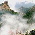 雞公山國家級自然保護區(雞公山風景區)
