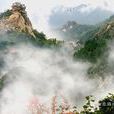 雞公山國家級自然保護區(雞公山)