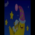 Flash播放 Flash播放