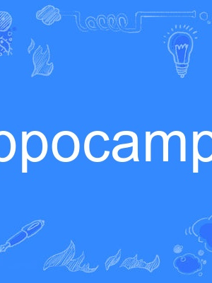 hippocampus hippocampus