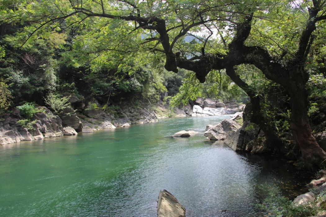 蔡家潭 蔡家潭
