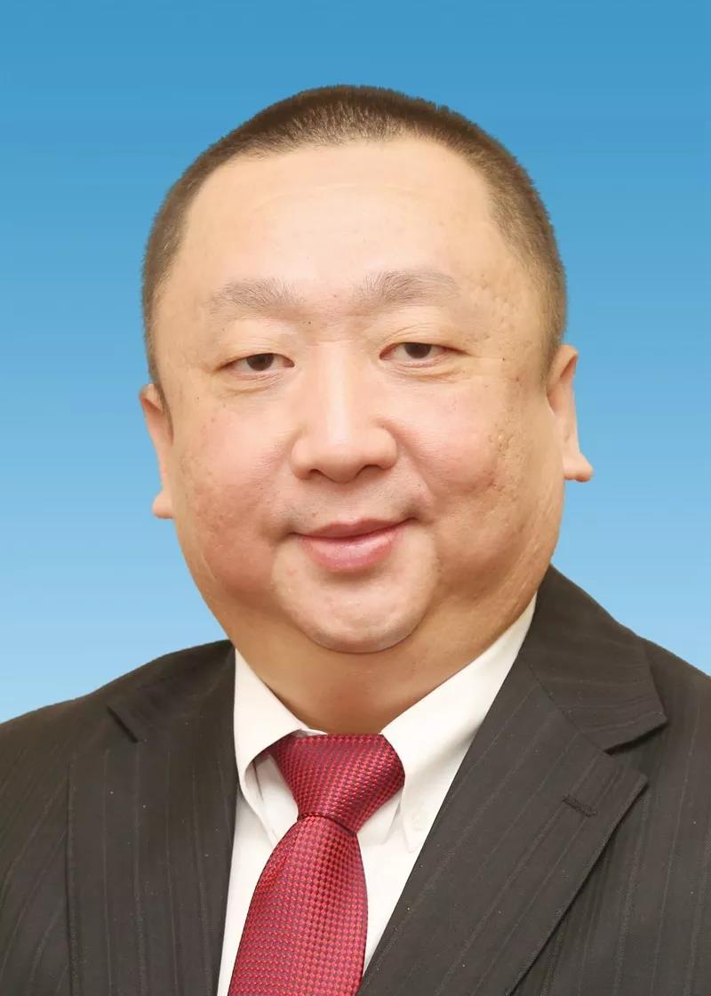 楊東偉(國網電子商務有限公司董事長、黨委書記)