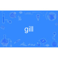 gill gill