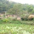 布孔寨村 布孔寨村