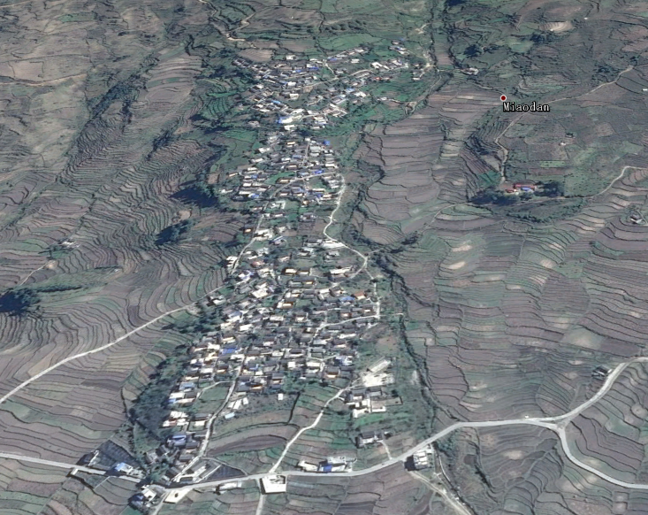 2016年衛星地圖苗丹村截圖