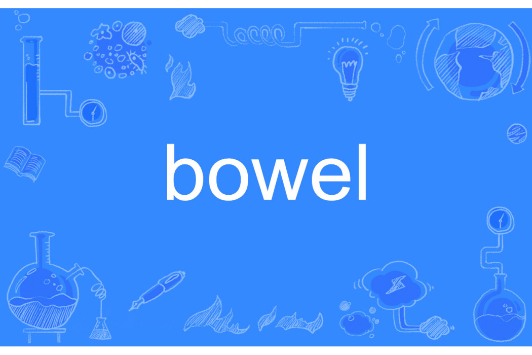 bowel bowel