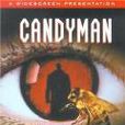蜜蜂人(歐美影片) 蜜蜂人(歐美影片)