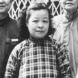 章寶琛