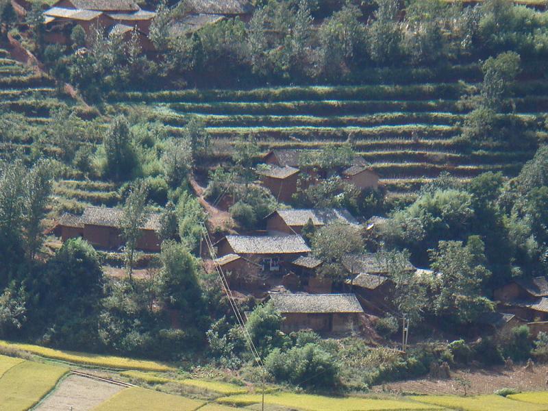 董家箐村 董家箐村