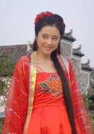 中華小當家(2005年蕭正楠、何潤東主演電視劇)