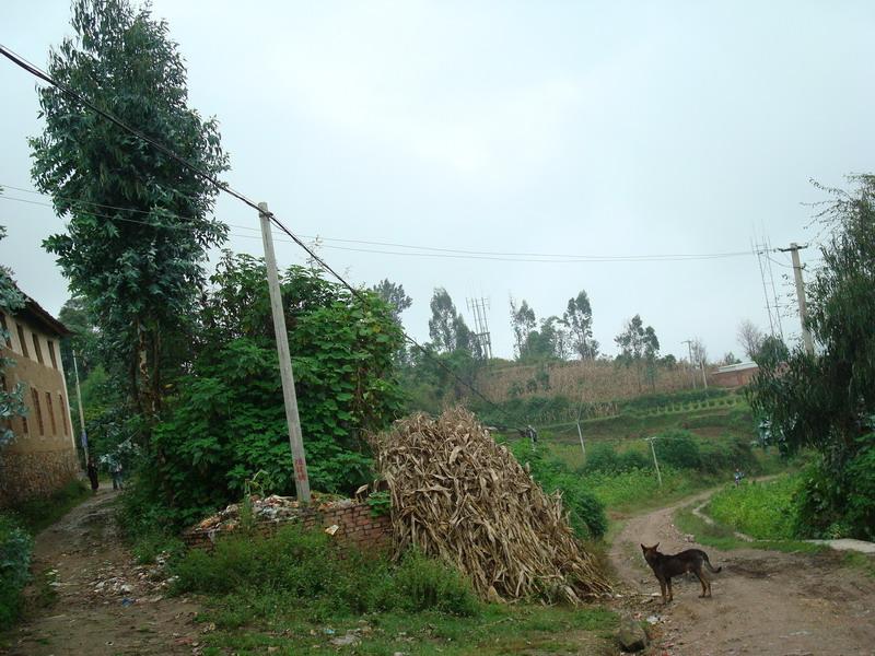 進村道路