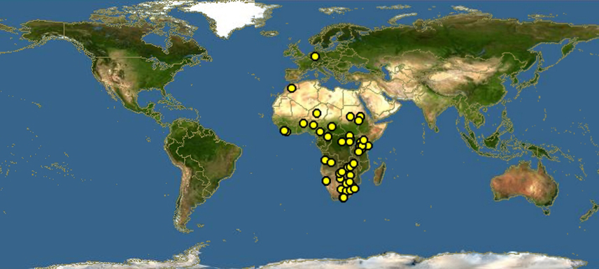 非洲野水牛分布圖