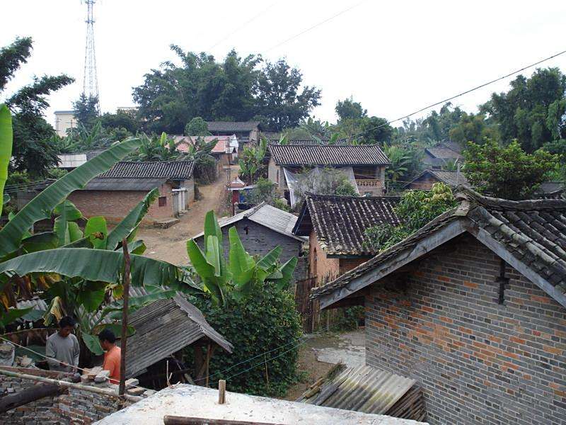 新芒洋村 新芒洋村