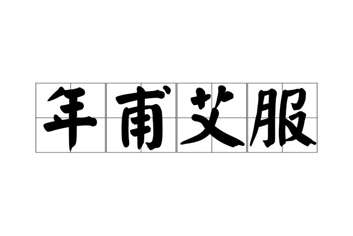 年甫艾服
