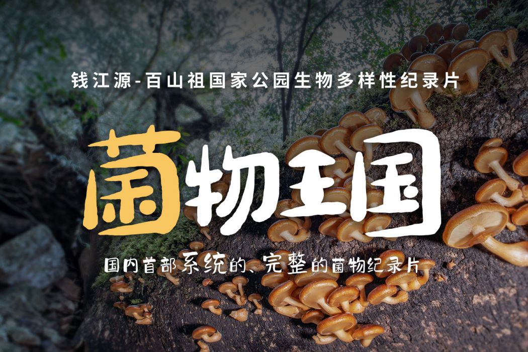 菌物王國 菌物王國