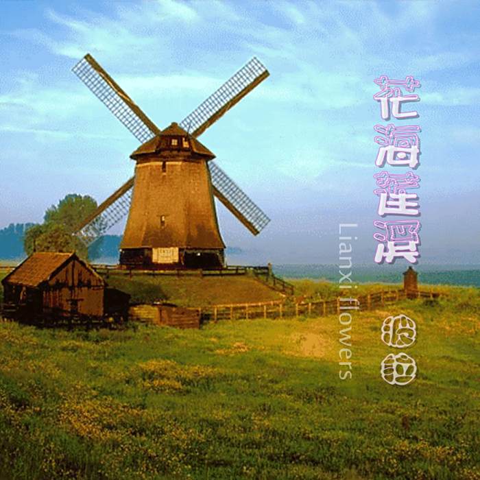 花海蓮溪 花海蓮溪