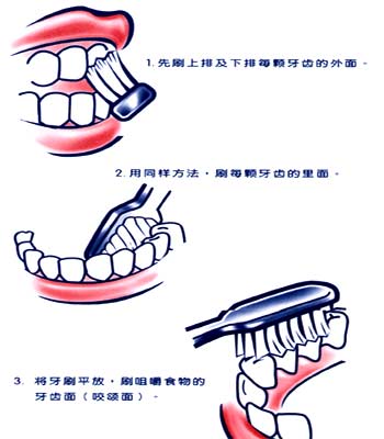 正確刷牙方法