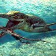 Umoonasaurus Umoonasaurus