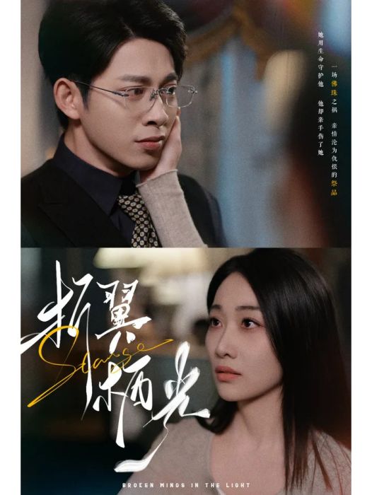 折翼棲光 折翼棲光