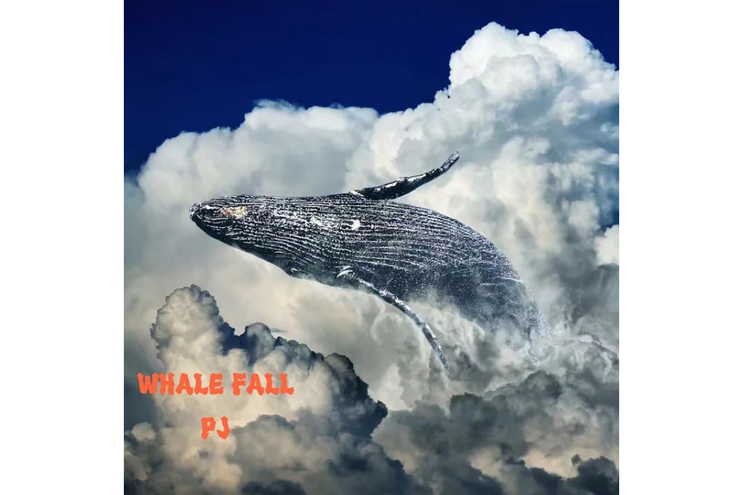 WHALE FALL WHALE FALL