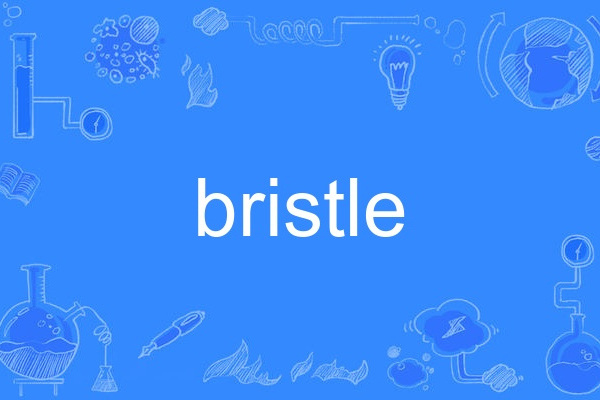bristle bristle