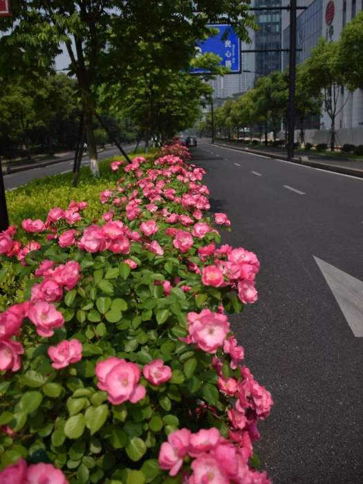 江錦路 江錦路