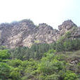 茂山 茂山