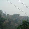 嘎達村(雲南省紅河州紅河縣洛恩鄉嘎達村) 嘎達村(雲南省紅河州紅河縣洛恩鄉嘎達村)