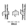倒貼皮 倒貼皮