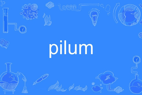 pilum pilum