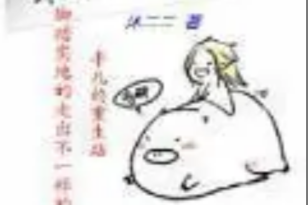 笨笨重生路 笨笨重生路