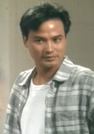 新紮師兄續集(新紮師兄（1985年梁朝偉主演TVB電視劇）)