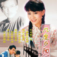幾度夕陽紅(1986年劉雪華秦漢主演瓊瑤劇) 幾度夕陽紅(1986年劉雪華秦漢主演瓊瑤劇)