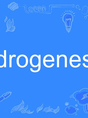 androgenesis androgenesis