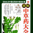 中草藥大全 中草藥大全