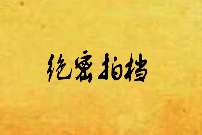 絕密拍檔 絕密拍檔