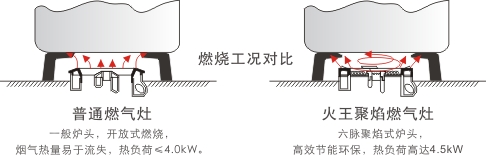 火王和其他對比