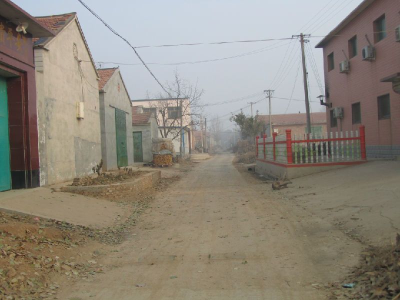 崔家窪村(河北省滄州市南皮縣馮家口鎮下轄村) 崔家窪村(河北省滄州市南皮縣馮家口鎮下轄村)