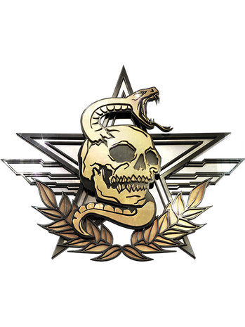 聯軍(《使命召喚》系列組織) 聯軍(《使命召喚》系列組織)