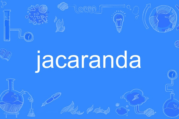 jacaranda jacaranda