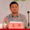 高峰(信陽師範學院華銳學院董事長) 高峰(信陽師範學院華銳學院董事長)